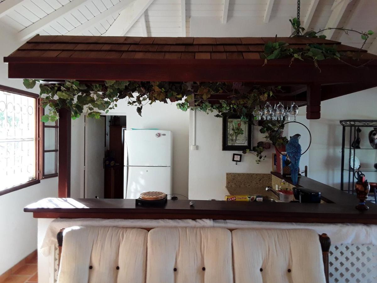 Luxurious Villa In Saint Martin Cul de Sac Екстер'єр фото